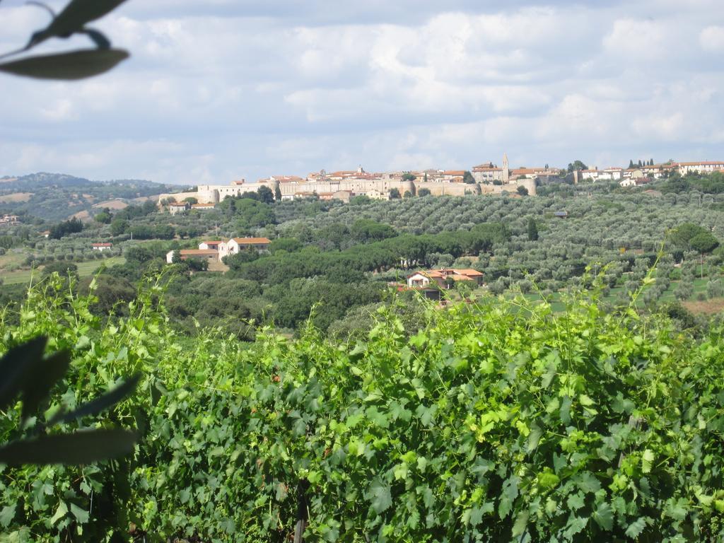 Villa Agriturismo La Carlina à Magliano in Toscana Extérieur photo