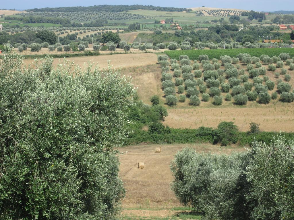 Villa Agriturismo La Carlina à Magliano in Toscana Extérieur photo